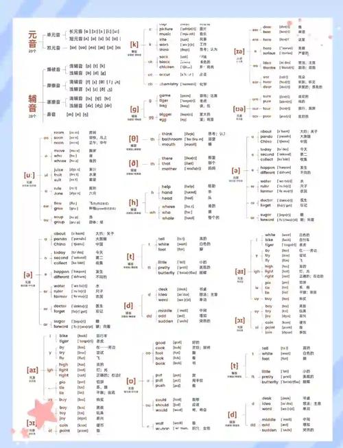 activity/activity音标