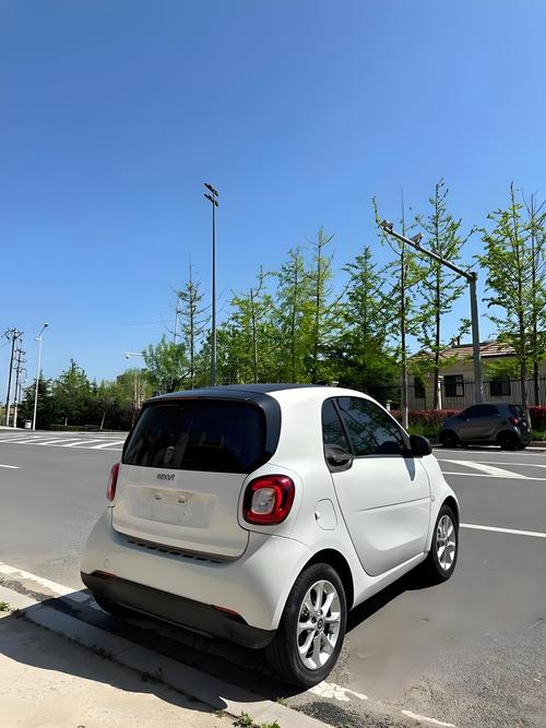 奔驰小电车smart 奔驰电车smart图片