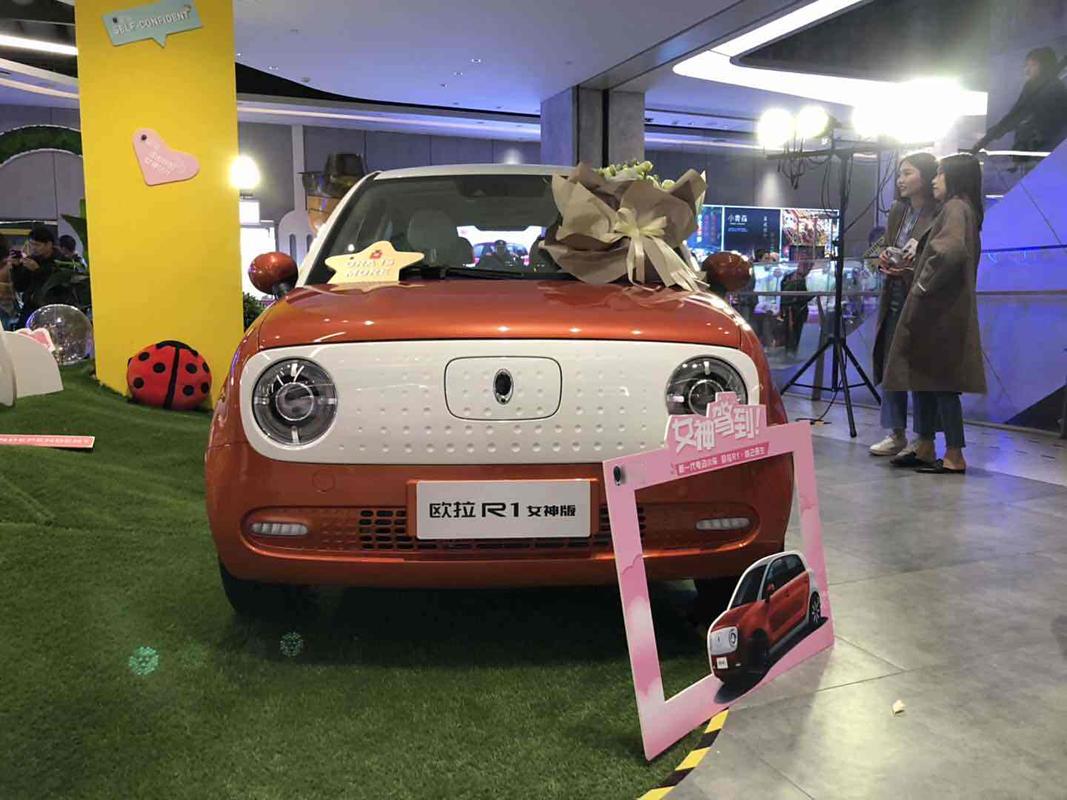 长城汽车欧拉r1多少钱 长城欧拉r1大概多少钱