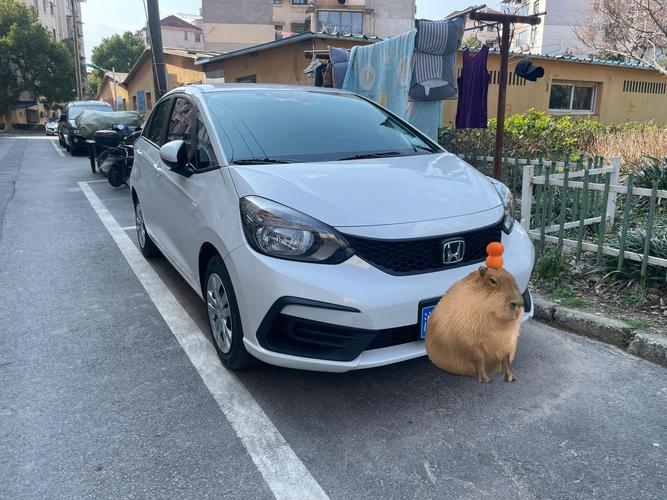 polo跟飞度哪个好 polo与飞度