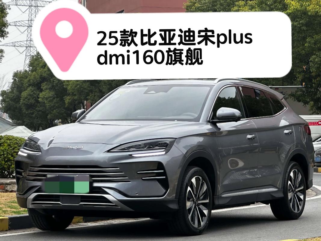 【比亚迪宋油电混合多少钱,比亚迪宋油电混合多少钱一辆】